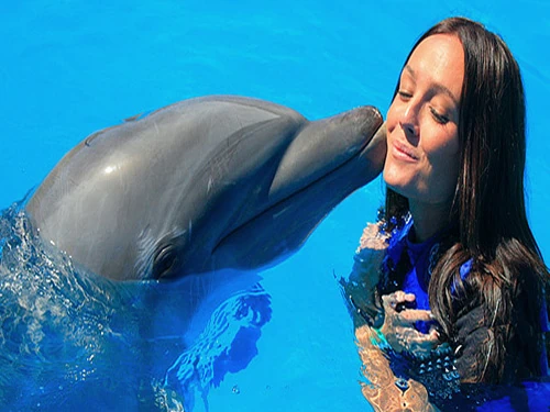 Dolphin photo session Hurghada with a woman posing beside a dolphin in a professional swimming pool experience in Egyp
