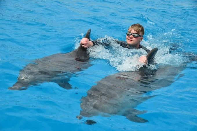 Swimming with dolphins in Hurghada in a safe pool experience with professional trainers and unforgettable family-friendly dolphin interaction.